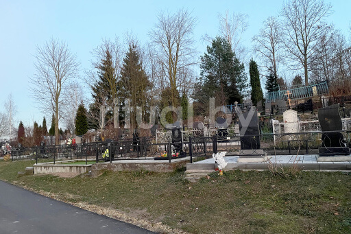 Кладбище Билево в Витебске, фото Кладбище Билево в Витебске, фото