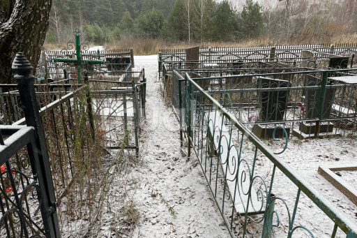 Кладбище Бороники-1 в Витебске, фото