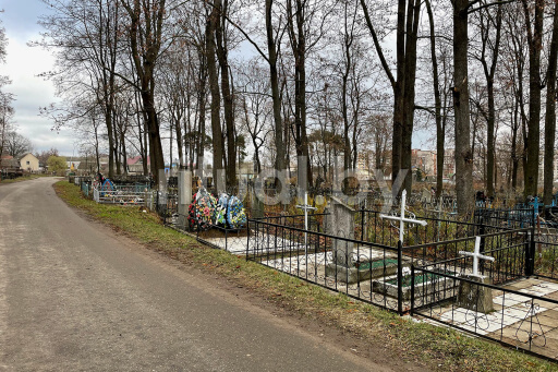 Старосемёновское кладбище в Витебске, фото