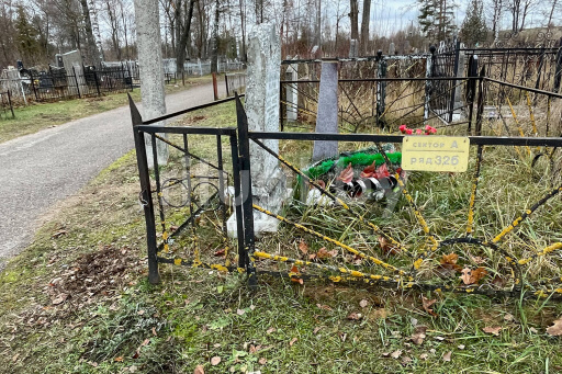 Староулановичское Еврейское кладбище в Витебске, фото