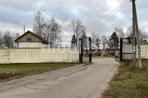 Староулановичское Еврейское кладбище в Витебске, фото