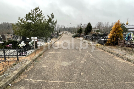 Кладбище Копти в Витебске, фото Кладбище Копти в Витебске, фото