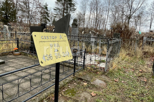 Староулановичское Еврейское кладбище в Витебске, фото