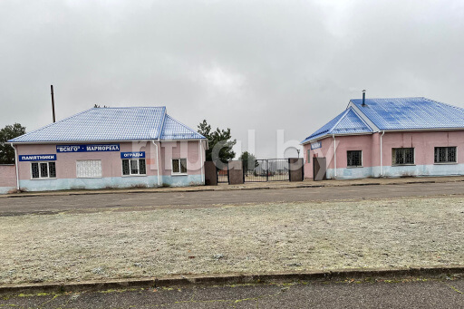 Кладбище Копти в Витебске, фото Кладбище Копти в Витебске, фото