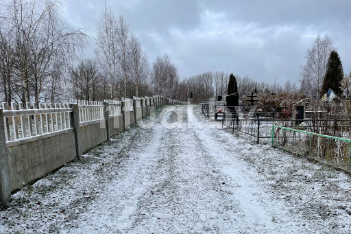 Кладбище Тарное-1 в Витебске, фото