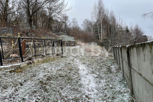 Гришано-Золотогорское кладбище в Витебске, фото