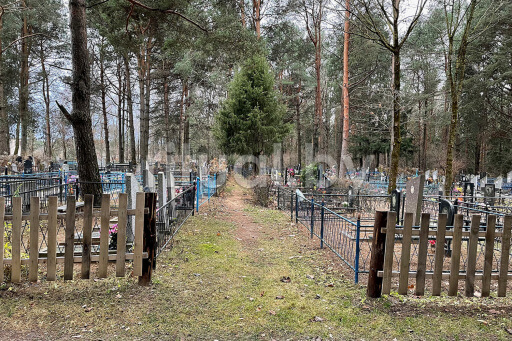 Рубовское кладбище в Витебске, фото