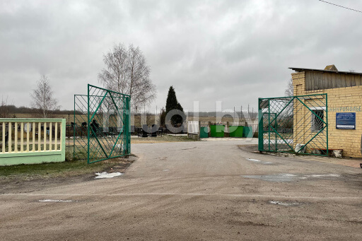 Кладбище Никрополье в Витебске, фото Кладбище Никрополье в Витебске, фото